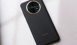 华为畅享80x最新爆料,性能与颜值并重，畅享非凡体验