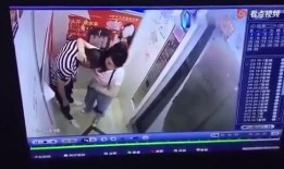 哥查德最新爆料视频播放,事件真相与幕后黑手浮出水面