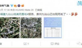 泉州天气最新爆料,最新天气爆料揭示高温挑战！”