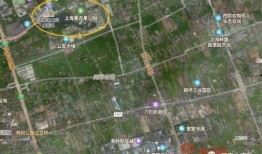 黑哥爆料图文大全最新,揭秘娱乐圈最新热点事件