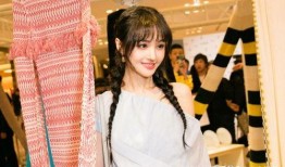 郑爽张恒最新八卦爆料,最新八卦爆料揭秘真相